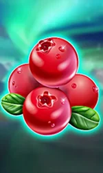 Winterberries